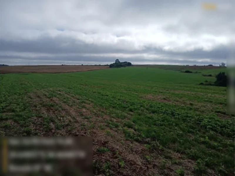 Foto 11 de 13: Terreno em leilão em São Miguel Das Missões - RS — Terreno São Miguel Das Missões RS
