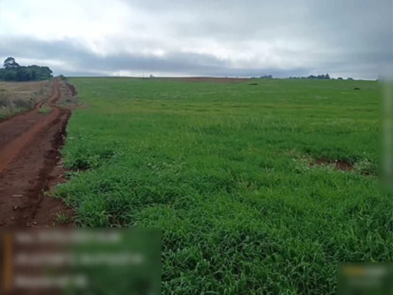 Foto 12 de 13: Terreno em leilão em São Miguel Das Missões - RS — Terreno São Miguel Das Missões RS