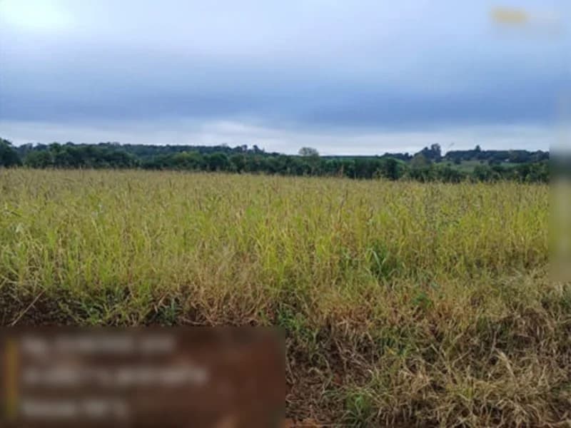 Foto 5 de 7: Terreno em leilão em São Miguel Das Missões - RS — Terreno São Miguel Das Missões RS