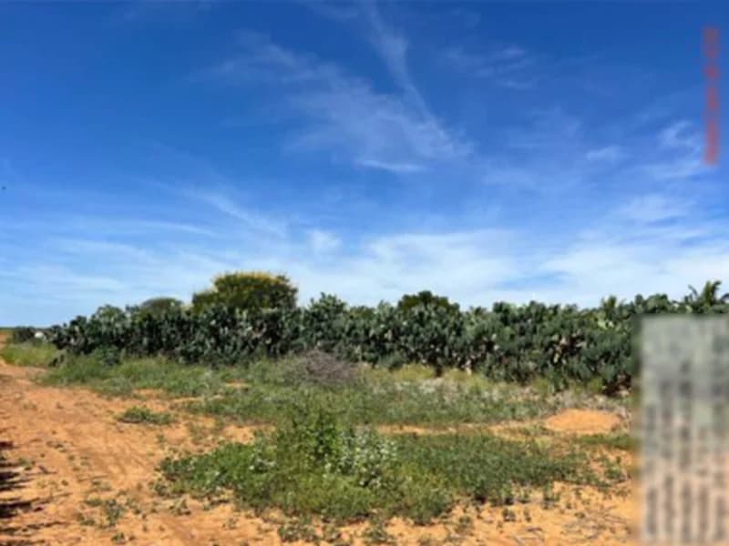 Foto 6 de 16: Terreno em leilão em São Gabriel - BA — Terreno São Gabriel BA