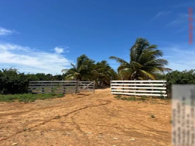 Foto 10 de 16: Terreno em leilão em São Gabriel - BA — Terreno São Gabriel BA