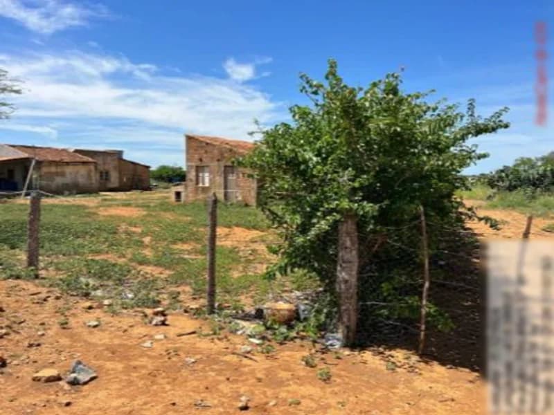 Foto 8 de 16: Terreno em leilão em São Gabriel - BA — Terreno São Gabriel BA
