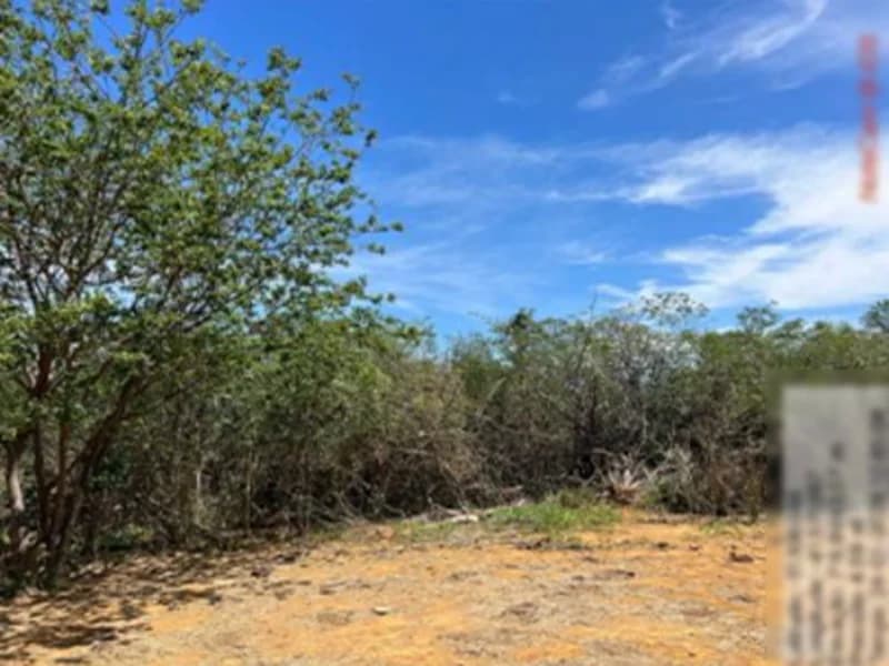 Foto 4 de 16: Terreno em leilão em São Gabriel - BA — Terreno São Gabriel BA