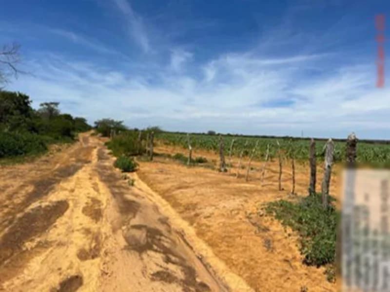 Foto 16 de 16: Terreno em leilão em São Gabriel - BA — Terreno São Gabriel BA