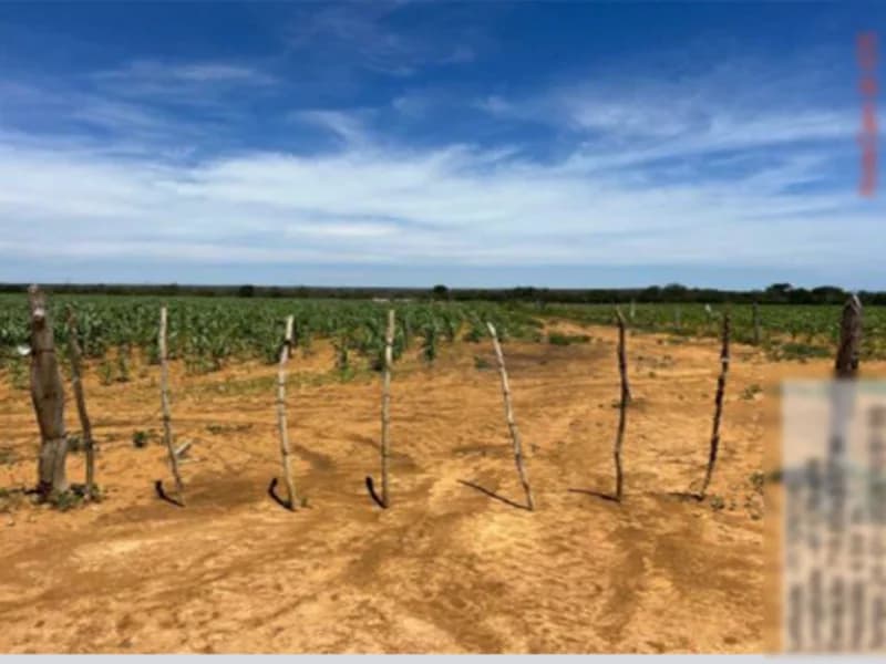 Foto 14 de 16: Terreno em leilão em São Gabriel - BA — Terreno São Gabriel BA