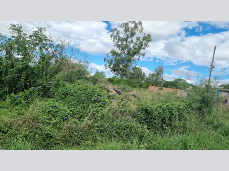 Foto 1 de 6: Terreno em leilão em Alegrete - RS, bairro Medianeira — Terreno - Alegrete - RS
