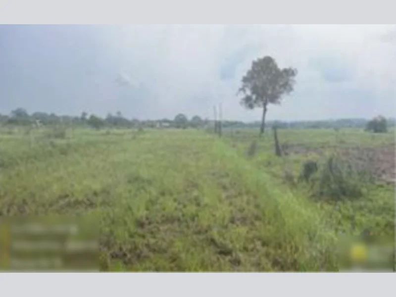 Foto 1 de 3: Terreno em leilão em Alegrete - RS — Terreno - Alegrete - RS