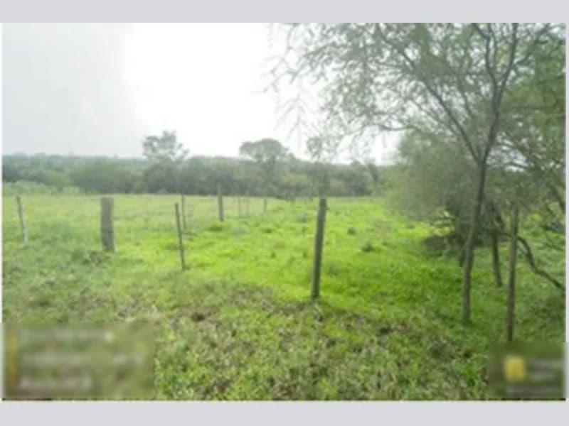 Foto 3 de 8: Terreno em leilão em Alegrete - RS, bairro Balneário Caverá — Terreno - Alegrete - RS