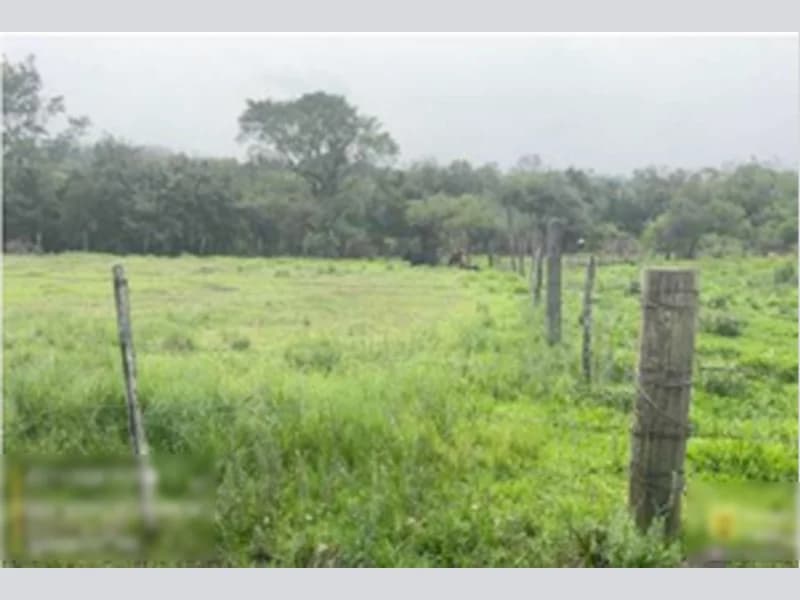 Foto 2 de 8: Terreno em leilão em Alegrete - RS, bairro Balneário Caverá — Terreno - Alegrete - RS