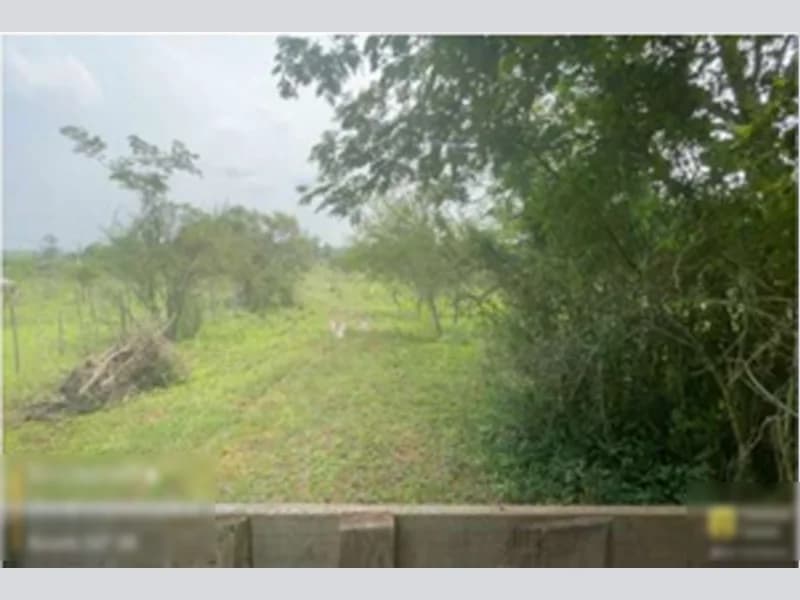 Foto 6 de 8: Terreno em leilão em Alegrete - RS, bairro Balneário Caverá — Terreno - Alegrete - RS
