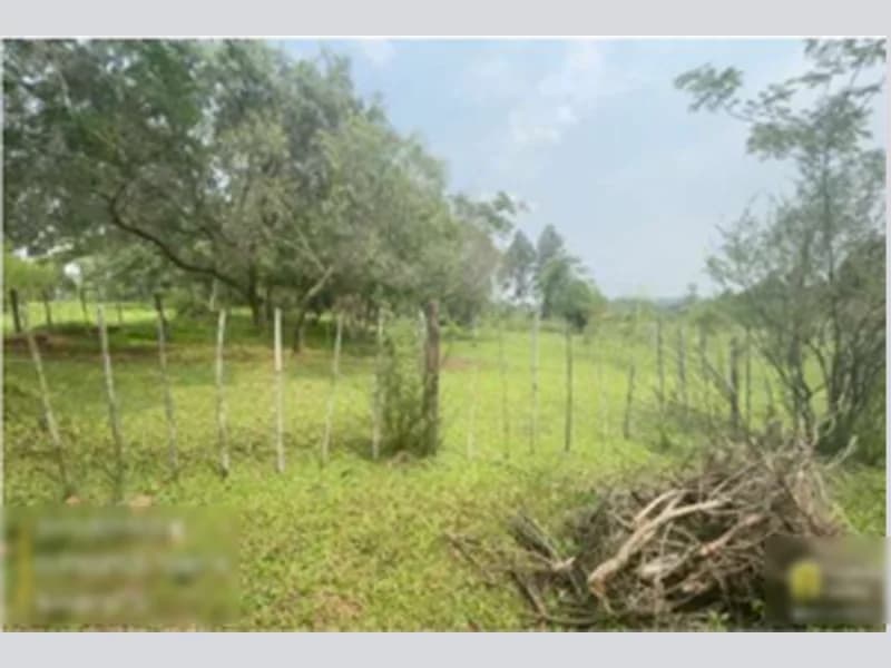 Foto 8 de 8: Terreno em leilão em Alegrete - RS, bairro Balneário Caverá — Terreno - Alegrete - RS
