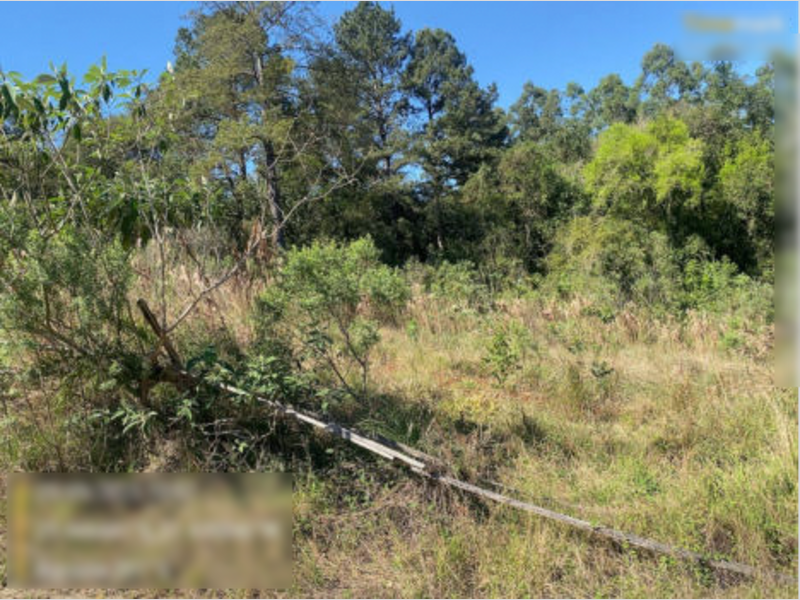 Foto 2 de 8: Terreno em leilão em Montenegro - RS — Terreno - Montenegro - RS