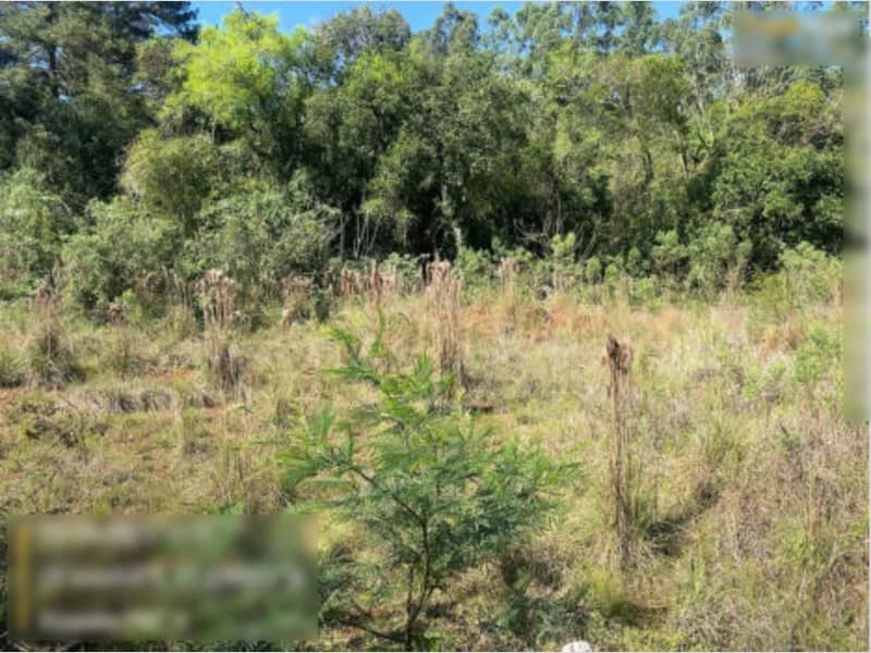 Foto 5 de 8: Terreno em leilão em Montenegro - RS — Terreno - Montenegro - RS