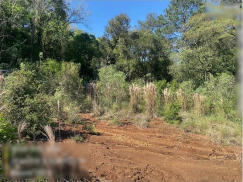 Foto 4 de 8: Terreno em leilão em Montenegro - RS — Terreno - Montenegro - RS