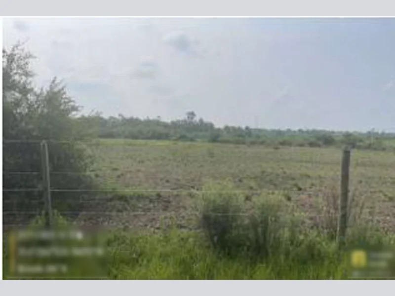 Foto 3 de 3: Terreno em leilão em Alegrete - RS — Terreno - Alegrete - RS