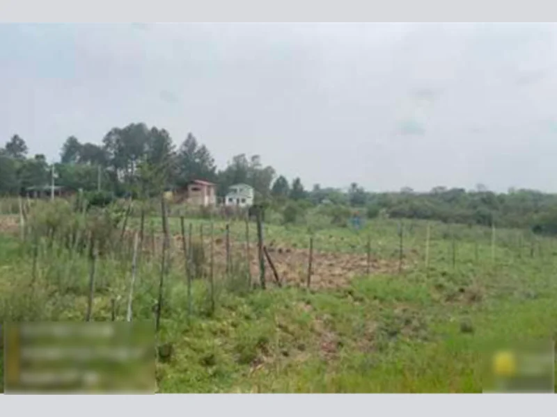 Foto 1 de 3: Terreno em leilão em Alegrete - RS — Terreno - Alegrete - RS
