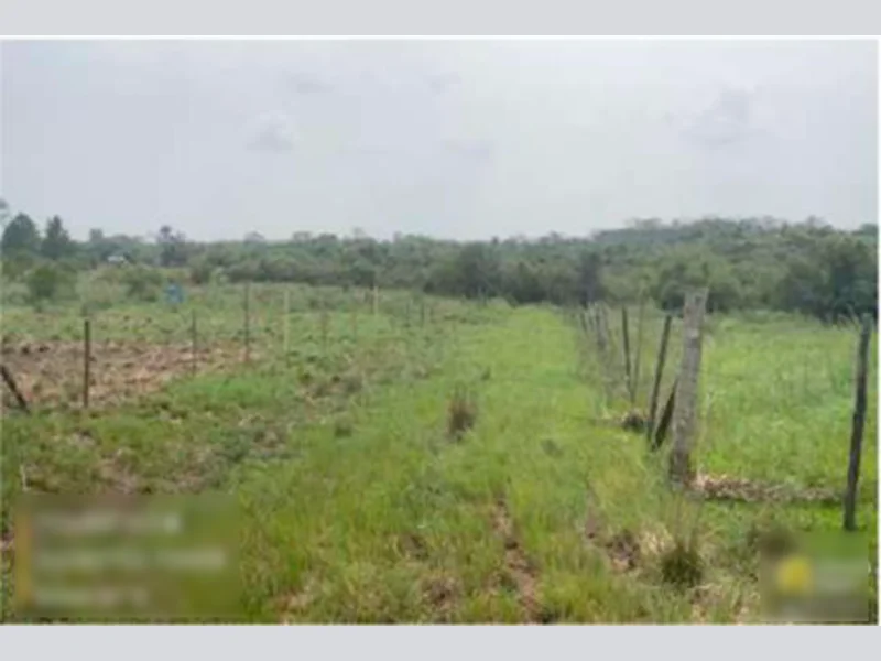 Foto 3 de 3: Terreno em leilão em Alegrete - RS — Terreno - Alegrete - RS
