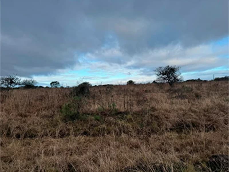Foto 4 de 11: Terreno em leilão em Alegrete - RS — Terreno - Alegrete - RS