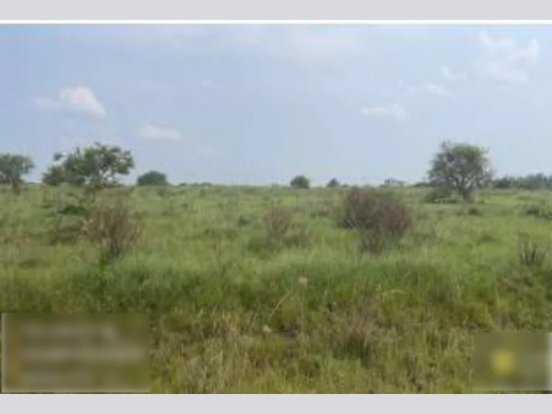 Foto 1 de 3: Terreno em leilão em Alegrete - RS — Terreno - Alegrete - RS
