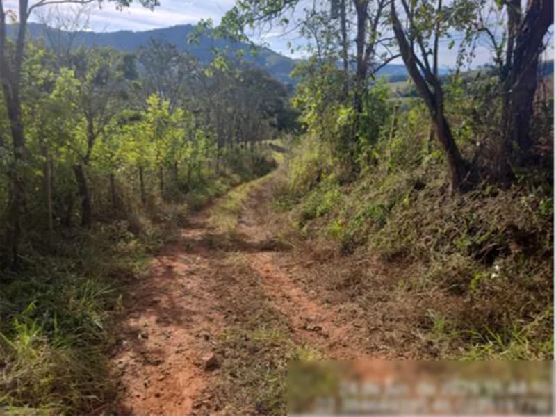 Foto 2 de 7: Terreno em leilão em Estiva - MG — Terreno - Estiva - MG