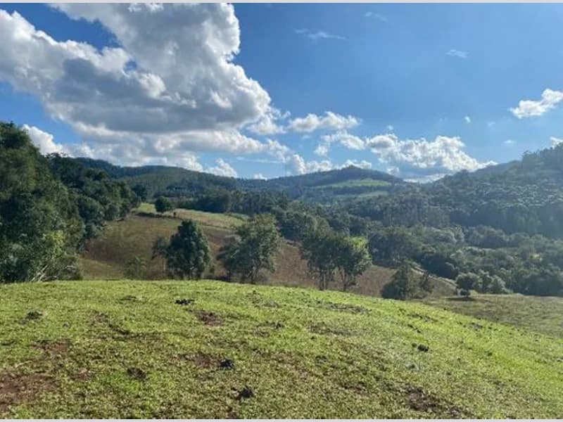 Foto 8 de 9: Terreno em leilão em Xaxim - SC — Terreno - Xaxim - SC