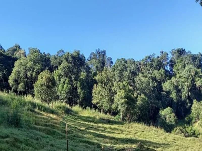 Foto 6 de 9: Terreno em leilão em Xaxim - SC — Terreno - Xaxim - SC