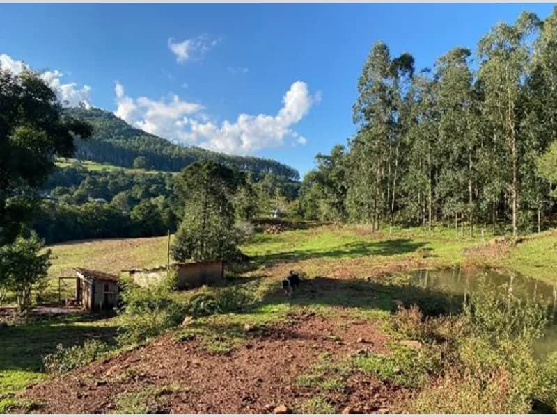 Foto 3 de 9: Terreno em leilão em Xaxim - SC — Terreno - Xaxim - SC