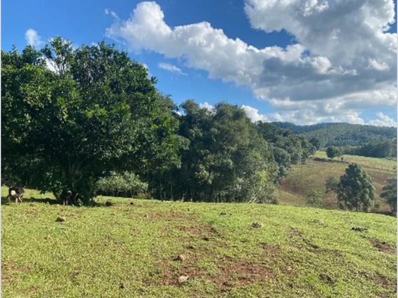 Foto 9 de 9: Terreno em leilão em Xaxim - SC — Terreno - Xaxim - SC