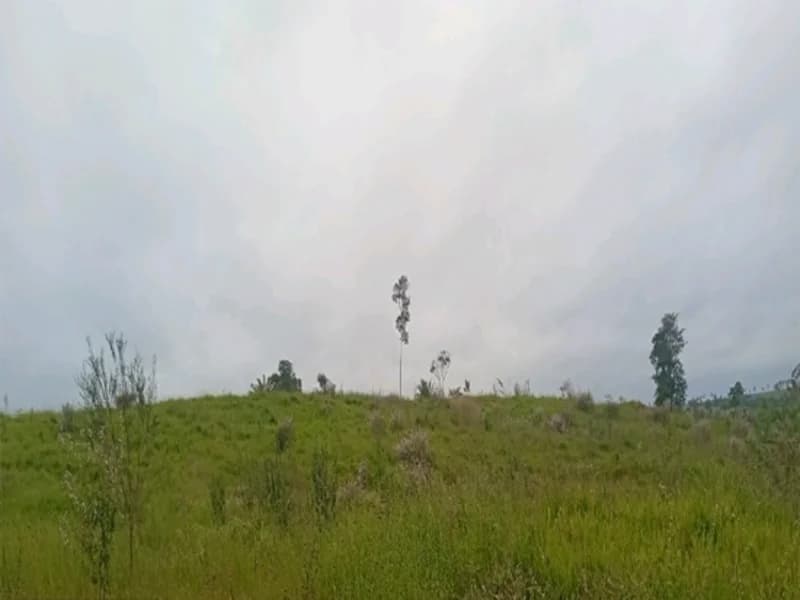 Foto 3 de 16: Terreno em leilão em Espigão D'oeste - RO — Terreno Espigão D'oeste RO