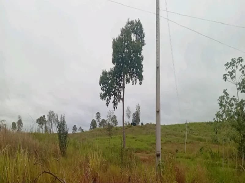 Foto 14 de 16: Terreno em leilão em Espigão D'oeste - RO — Terreno Espigão D'oeste RO