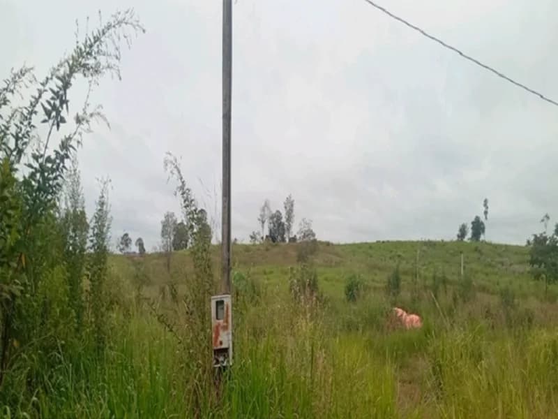 Foto 7 de 16: Terreno em leilão em Espigão D'oeste - RO — Terreno Espigão D'oeste RO