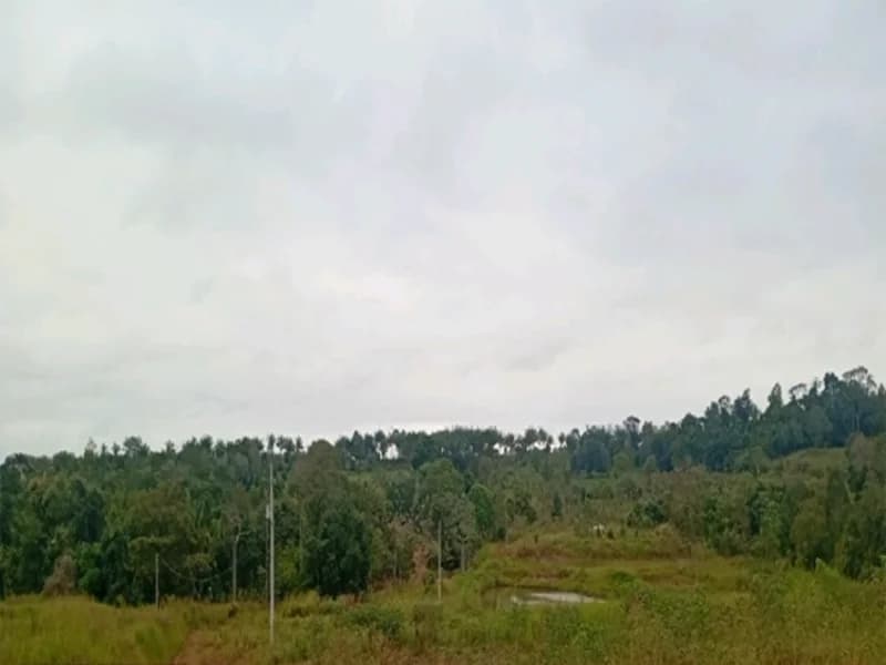 Foto 1 de 16: Terreno em leilão em Espigão D'oeste - RO — Terreno Espigão D'oeste RO