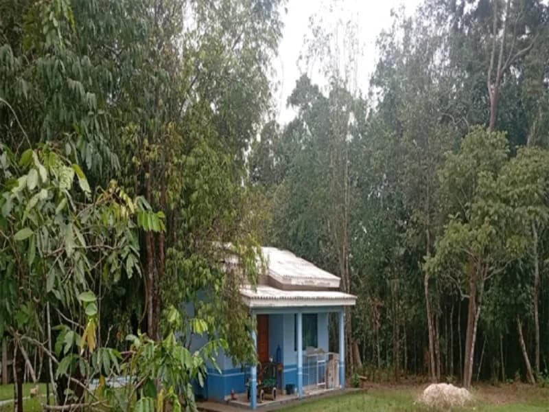 Foto 16 de 16: Terreno em leilão em Espigão D'oeste - RO — Terreno Espigão D'oeste RO