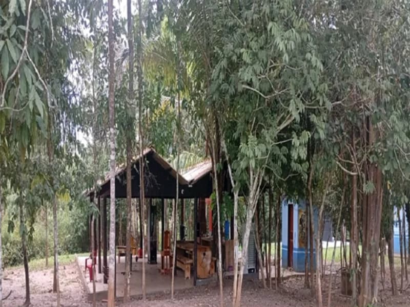 Foto 11 de 16: Terreno em leilão em Espigão D'oeste - RO — Terreno Espigão D'oeste RO