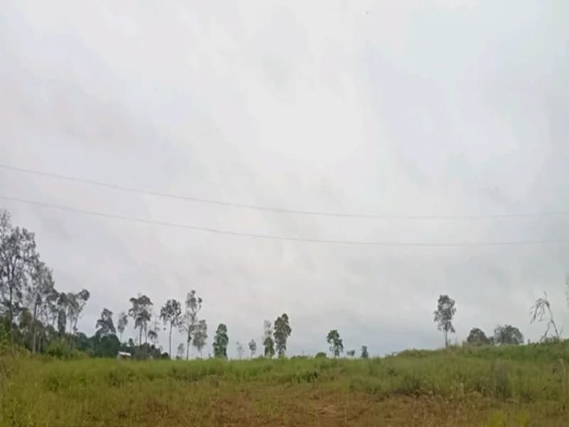 Foto 5 de 16: Terreno em leilão em Espigão D'oeste - RO — Terreno Espigão D'oeste RO