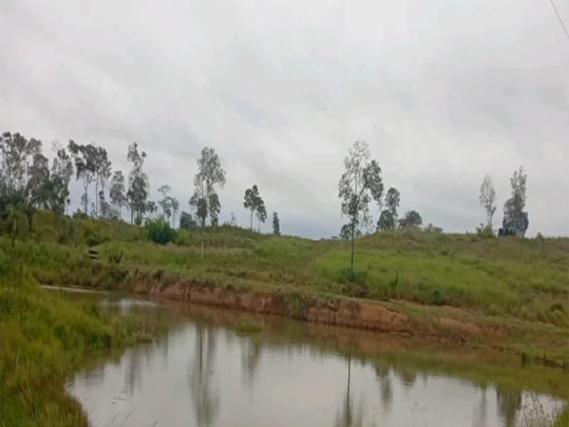 Foto 10 de 16: Terreno em leilão em Espigão D'oeste - RO — Terreno Espigão D'oeste RO