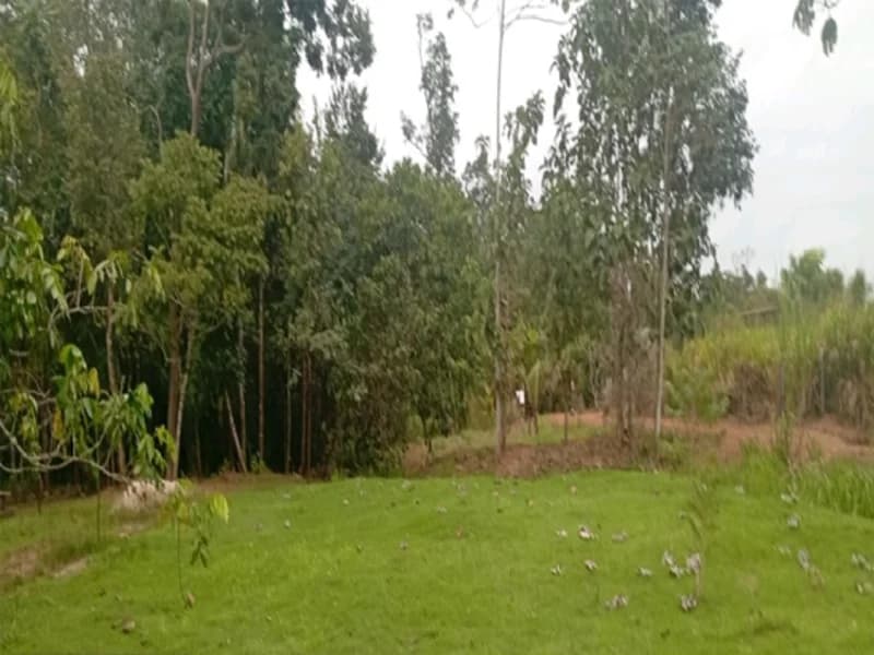Foto 2 de 16: Terreno em leilão em Espigão D'oeste - RO — Terreno Espigão D'oeste RO