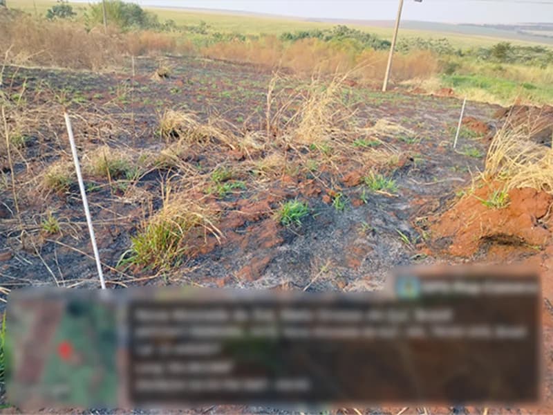 Foto 2 de 4: Terreno em leilão em Nova Alvorada Do Sul - MS — Terreno - Nova Alvorada do Sul - MS
