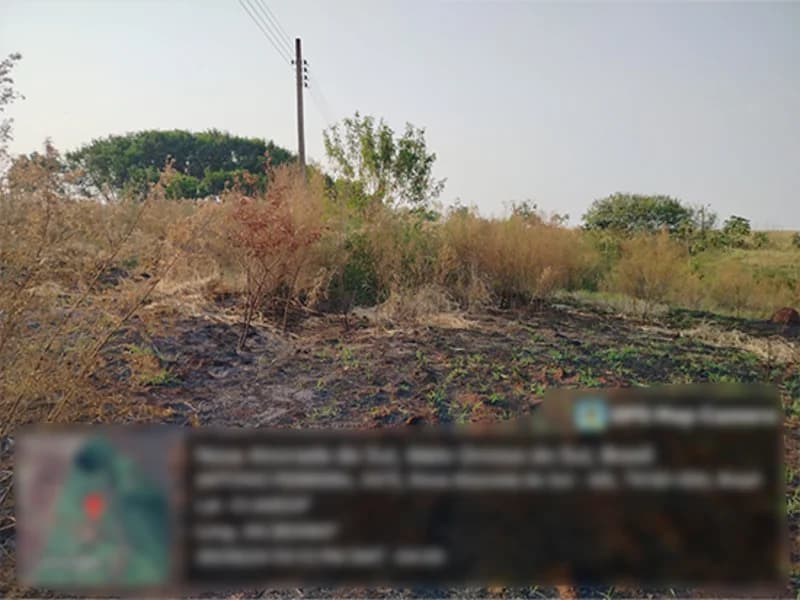 Foto 2 de 4: Terreno em leilão em Nova Alvorada Do Sul - MS — Terreno - Nova Alvorada do Sul - MS