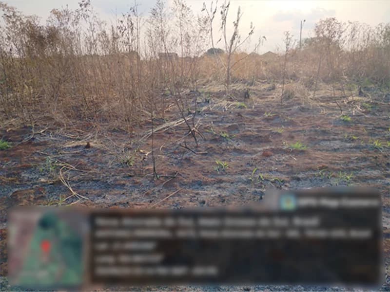 Foto 4 de 4: Terreno em leilão em Nova Alvorada Do Sul - MS — Terreno - Nova Alvorada do Sul - MS