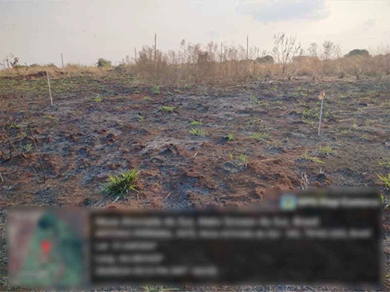 Foto 3 de 4: Terreno em leilão em Nova Alvorada Do Sul - MS — Terreno - Nova Alvorada do Sul - MS