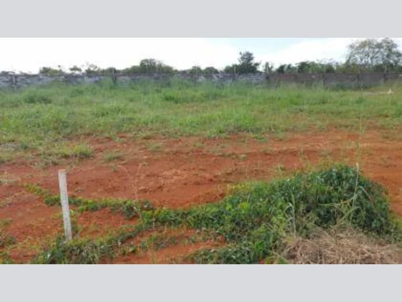 Foto 2 de 14: Terreno em leilão em Sinop - MT — Loteamento - Sinop - MT