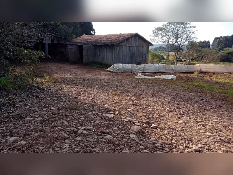 Foto 2 de 5: Area Rural em leilão em Celso Ramos - SC — Área Rural - Celso Ramos/SC - Matrícula 11.702