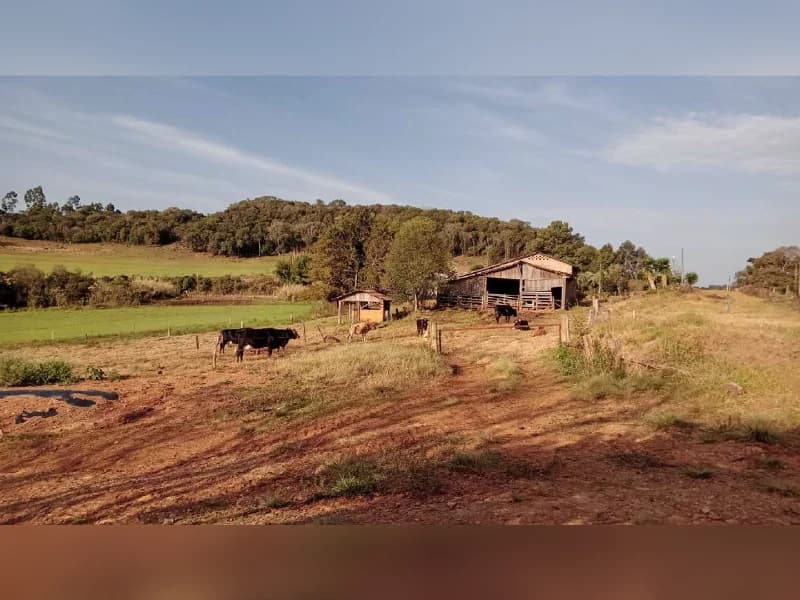Foto 1 de 5: Area Rural em leilão em Celso Ramos - SC — Área Rural - Celso Ramos/SC - Matrícula 11.702