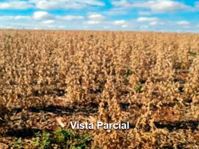Foto 2 de 4: Area Rural em leilão em Concórdia - SC — Área Rural - Concórdia - SC