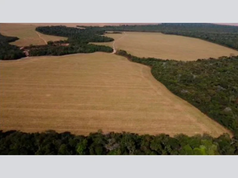 Foto 1 de 8: Area Rural em leilão em Vilhena - RO — Terreno - Vilhena - RO
