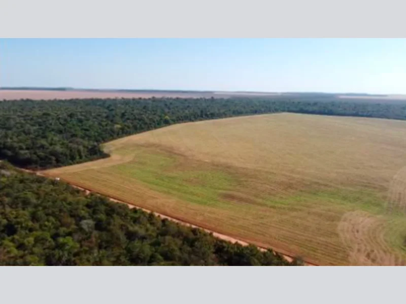 Foto 4 de 8: Area Rural em leilão em Vilhena - RO — Terreno - Vilhena - RO