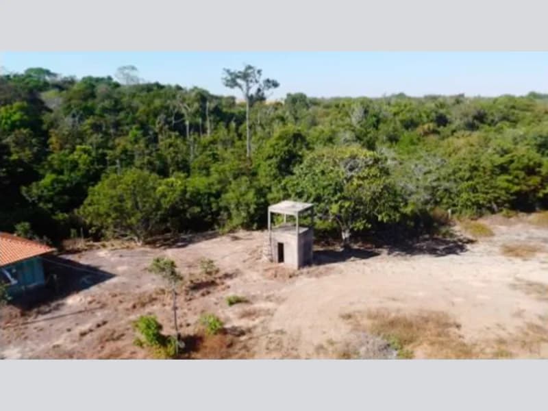 Foto 8 de 8: Area Rural em leilão em Vilhena - RO — Terreno - Vilhena - RO