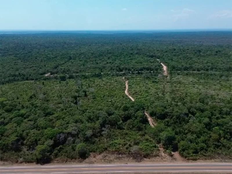 Foto 3 de 13: Terreno em leilão em Vilhena - RO — Terreno - Vilhena - RO