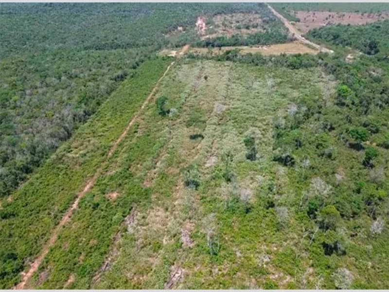 Foto 2 de 13: Terreno em leilão em Vilhena - RO — Terreno - Vilhena - RO